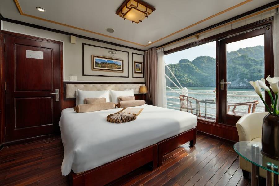 Swan Cruise 5
