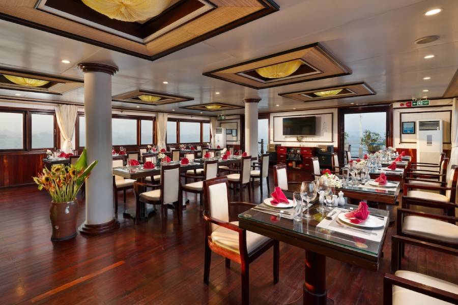 Swan Cruise 10