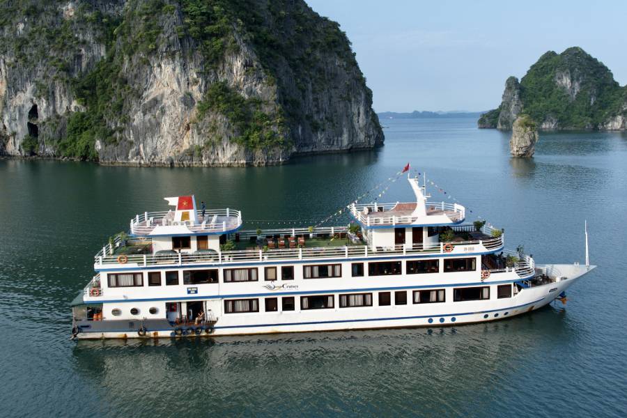 Swan Cruise 1