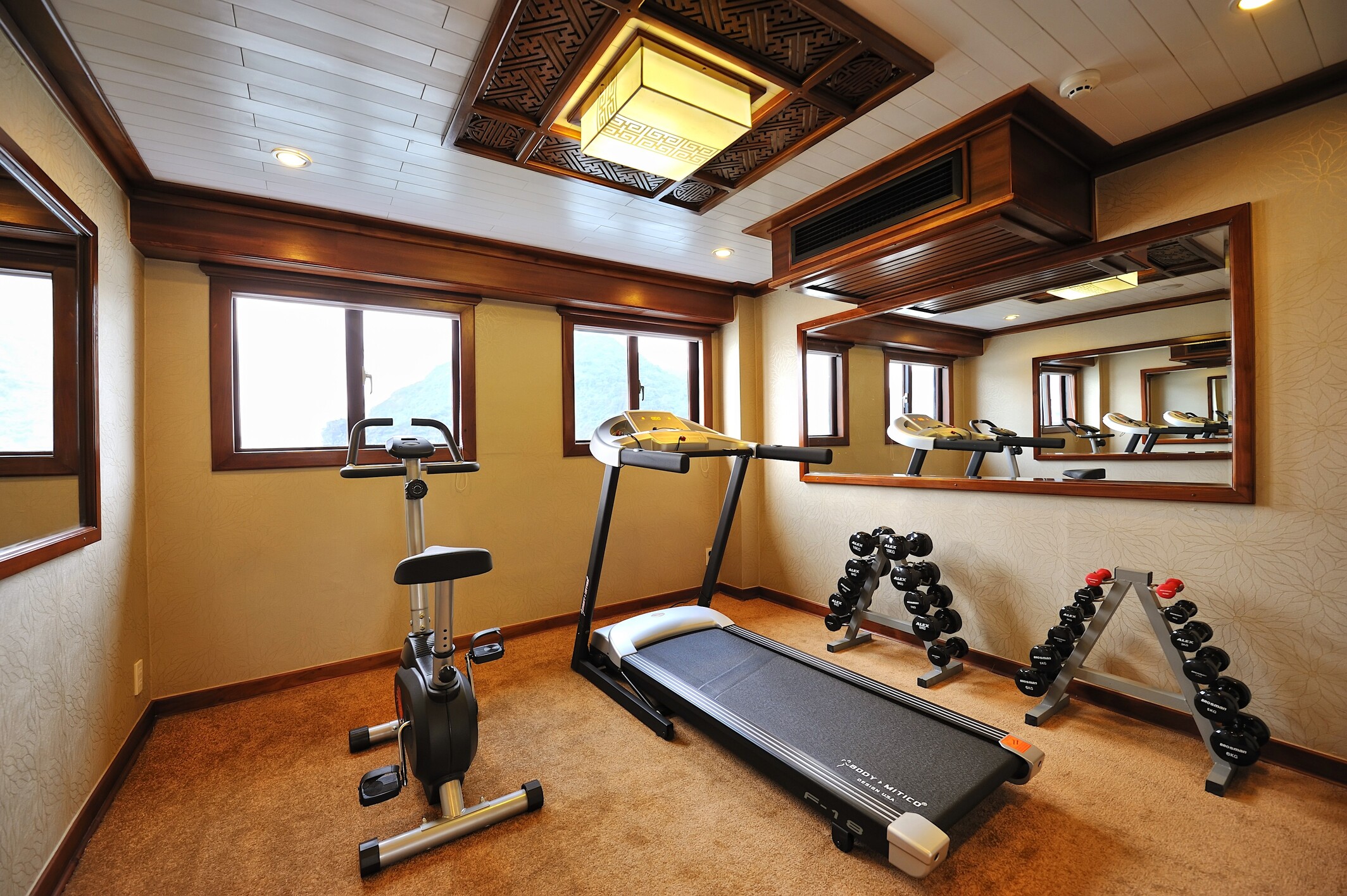 Paradise Peak Cruise gym